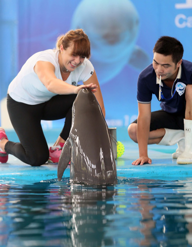 命中三分 命中三分